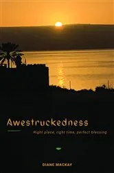 Book cover of Awestruckedness by Diane MacKay