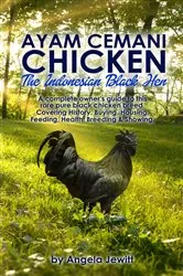 Book cover of Ayam Cemani Chicken - The Indonesian Black Hen. A complete owner's guide to this rare pure black chicken breed. Covering History, Buying, Housing, Feeding, Health, Breeding & Showing. by Angela Jewitt