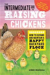 Book cover of Baby Food Cookbook for First-Time Parents by Alexandra Turnbull