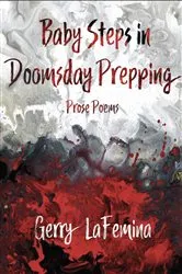 Book cover of Baby Steps in Doomsday Prepping by Gerry Lafemina