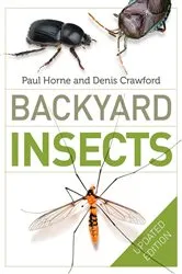 Book cover of Backyard Insects Updated Edition by Paul Horne
