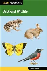 Book cover of Backyard Wildlife by Todd Telander