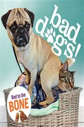 Book cover of Bad Dogs by Virginia Woof