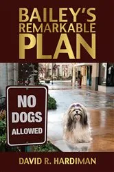 Book cover of Bailey's Remarkable Plan by Unknown
