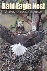 Book cover of Bald Eagle Nest by Kate Davis