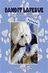 Book cover of Bandit Laferue by Karen Dochterman