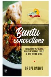 Book cover of BANTU CONCOCTIONS by BANWO DR OPE