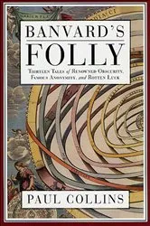 Book cover of Banvard's Folly by Paul Collins