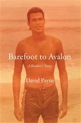Book cover of Barefoot to Avalon by David Payne