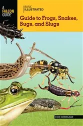 Book cover of Basic Illustrated Guide to Frogs, Snakes, Bugs, and Slugs by John Himmelman
