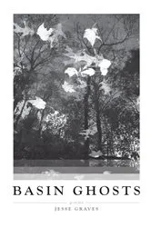 Book cover of Basin Ghosts by Jesse Graves