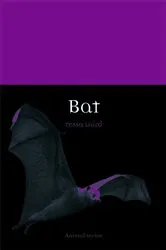 Book cover of Bat by Tessa Laird