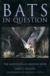 Book cover of Bats in Question by Don E. Wilson
