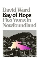 Book cover of Bay of Hope by David Ward
