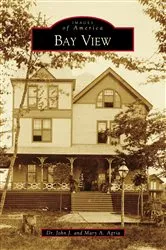 Book cover of Bay View by Dr. John J. Agria