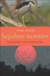 Book cover of Bayshore Summer by Pete Dunne