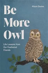 Book cover of Be More Owl by Alison Davies
