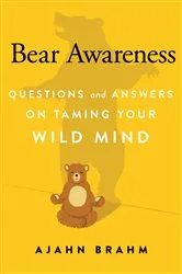 Book cover of Bear Awareness by Brahm