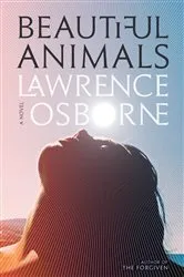 Book cover of Beautiful Animals by Unknown