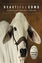 Book cover of Beautiful Cows by Valerie Porter