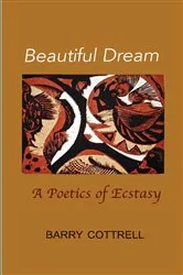 Book cover of Beautiful Dream by Barry Cottrell