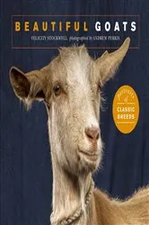 Book cover of Beautiful Goats by Felicity Stockwell