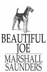 Book cover of Beautiful Joe by Marshall Saunders