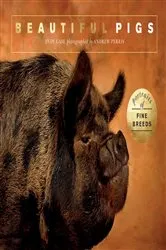 Book cover of Beautiful Pigs by Andy Case
