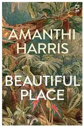 Book cover of Beautiful Place by Amanthi Harris