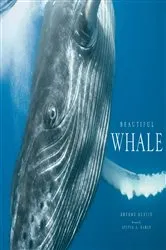 Book cover of Beautiful Whale by Bryant Austin
