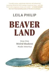 Book cover of Beaverland by Leila Philip