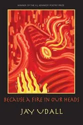 Book cover of Because a Fire in Our Heads by Jay Udall