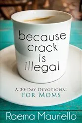 Book cover of Because Crack Is Illegal by Raema Mauriello