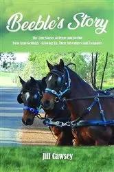 Book cover of Beeble's Story by Jill Cawsey