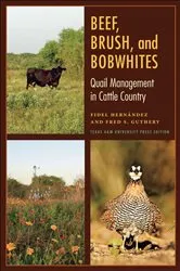 Book cover of Beef, Brush, and Bobwhites by Fidel Hernández
