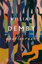 Book cover of Beetlecreek by Unknown
