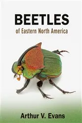Book cover of Beetles of Eastern North America by Arthur V. Evans