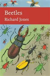 Book cover of Beetles by Unknown