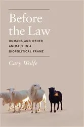 Book cover of Before the Law by Cary Wolfe