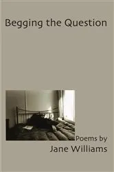 Book cover of Begging the Question by Jane Williams