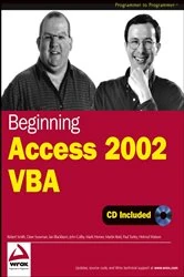 Book cover of Beginning Access 2002 VBA by Robert Smith