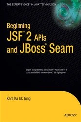 Book cover of Beginning JSF™ 2 APIs and JBoss® Seam by Kent Ka Iok Tong