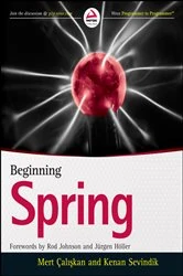 Book cover of Beginning Spring by Mert Caliskan