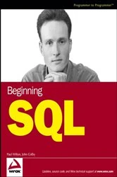 Book cover of Beginning SQL by Paul Wilton