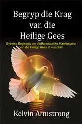 Book cover of Begryp die Krag van die Heilige Gees by Kelvin Armstrong