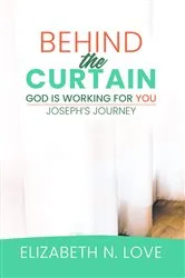 Book cover of Behind The Curtain: God is Working For You by Elizabeth N. Love