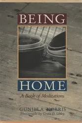 Book cover of Being Home by Traci Sorell