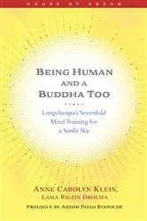 Book cover of Being Human and a Buddha Too by Anne Klein