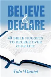 Book cover of Believe & Declare by Tolu Daniel