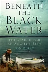 Book cover of Beneath the Black Water by Jon Berry